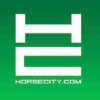Horsecity.com logo