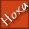 Hoxa.hu logo