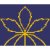 Iavs.org logo
