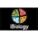 Ibiology.org logo