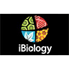Ibiology.org logo
