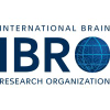 Ibro.info logo