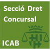 Icab.es logo