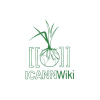 Icannwiki.org logo