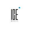 Icemodels.co.za logo