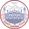 Icp.edu.pk logo