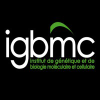Igbmc.fr logo