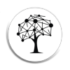 Iienstitu.com logo