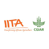 Iita.org logo