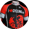 Ilovecycling.de logo