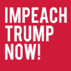 Impeachdonaldtrumpnow.org logo