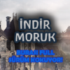 Indirmoruk.com logo