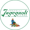 Ingegnoli.it logo