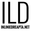 Inliniedreapta.net logo
