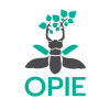 Insectes.org logo