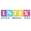 Intex.es logo