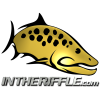 Intheriffle.com logo