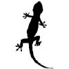 Iotgecko.com logo