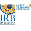 Irbbarcelona.org logo