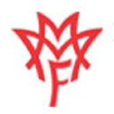 MMF Hospitals Association
