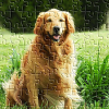 Jspuzzles.com logo