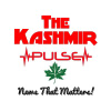 Kashmirpulse.com logo