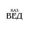Kazved.ru logo