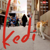 Kedifilm.com logo