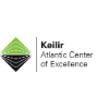 Keilir.net logo