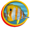 Kensfish.com logo