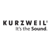 Kurzweil.com logo