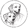 Labrador.ru logo
