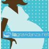 Lagravidanza.net logo