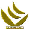 Latihancatcpns.com logo