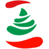 Lebanoninapicture.com logo