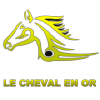 Lechevalenor.fr logo