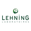 Lehning.com logo