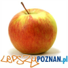 Lepszypoznan.pl logo
