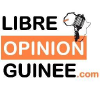 Libreopinionguinee.com logo