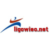 Ligowiec.net logo