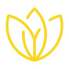 Liliomlab.com logo