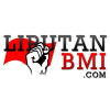 Liputanbmi.com logo