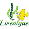 Livealgae.co.uk logo