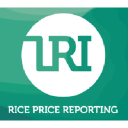 Live Rice Index