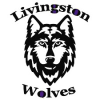 Livingstonisd.com logo