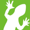 Lizardsystems.com logo