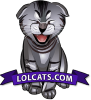 Lolcats.com logo