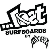 Lostsurfboards.net logo