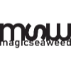 Magicseaweed.com logo