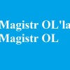 Magistrol.com logo
